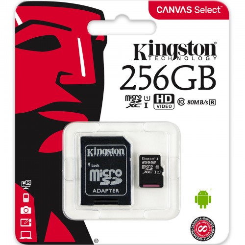 Kingston 256gb Memory Card