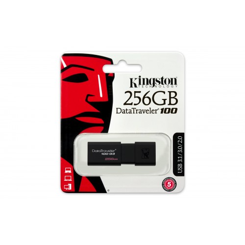 Kingston 256GB Flash Drive