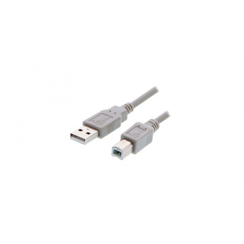 XTech 6ft USB A-Male to B-Male Cable 
