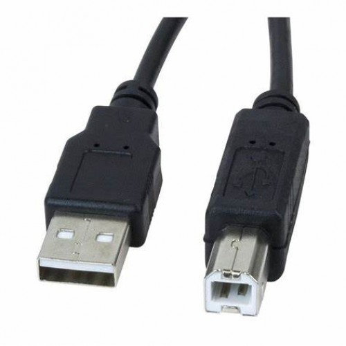 XTECH 10FT USB A Male to B Male Cable